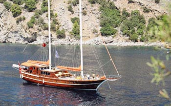 M/S AKO